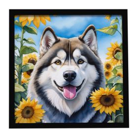 Alaskan Malamute in Sunflowers Framed Metal Print Bathroom, Kitchen, Office, Home Decor Wall Art Ready to Hang, Square, 8X8